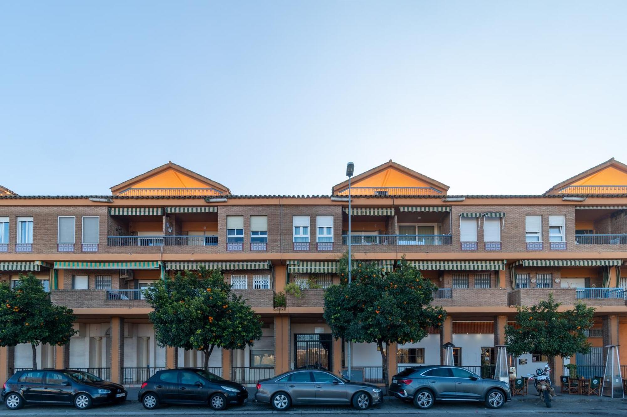 Atico Puente Romano Parking Gratuito 科爾多瓦 外观 照片
